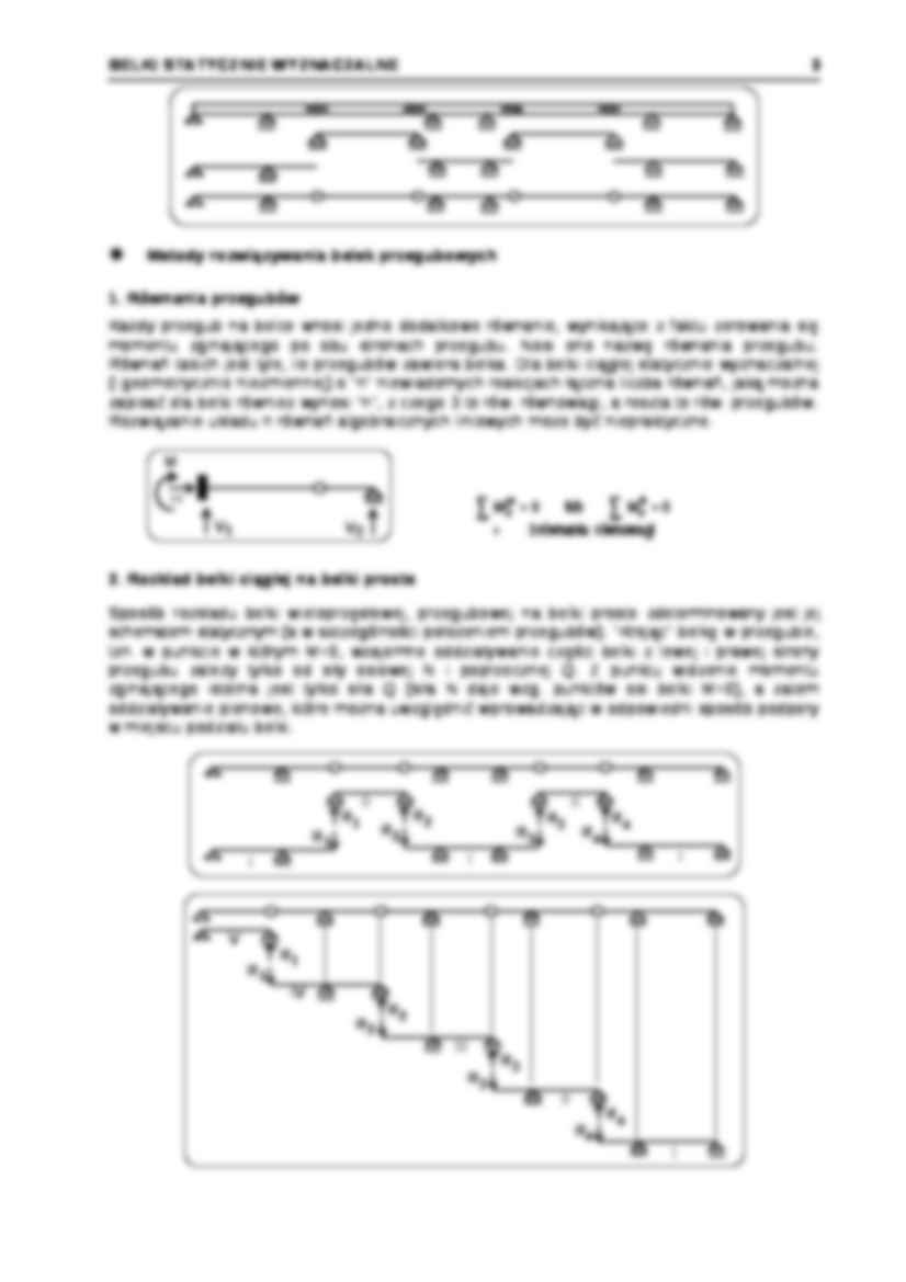 Belki proste - opracowanie  - strona 3