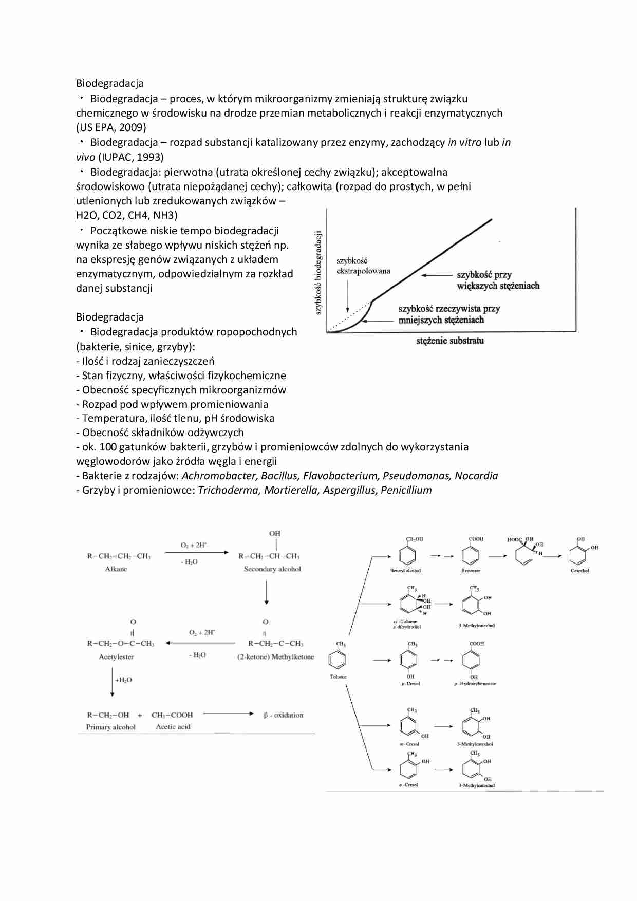 Wykład o biodegradacji - strona 1