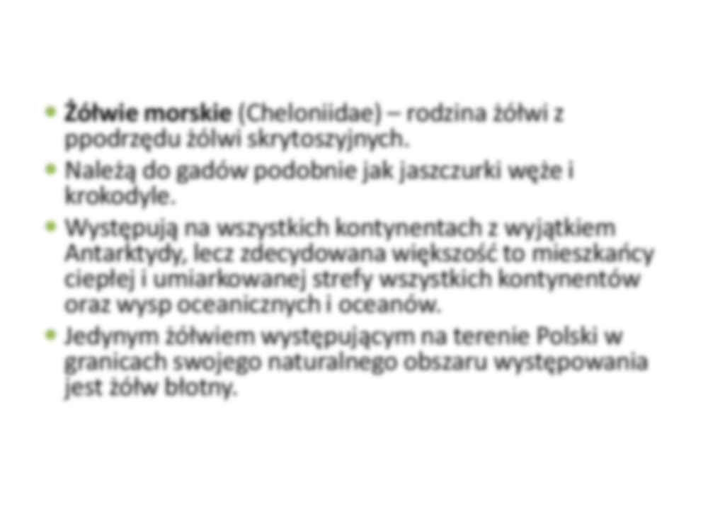 Żółwie morskie - wykład - strona 3