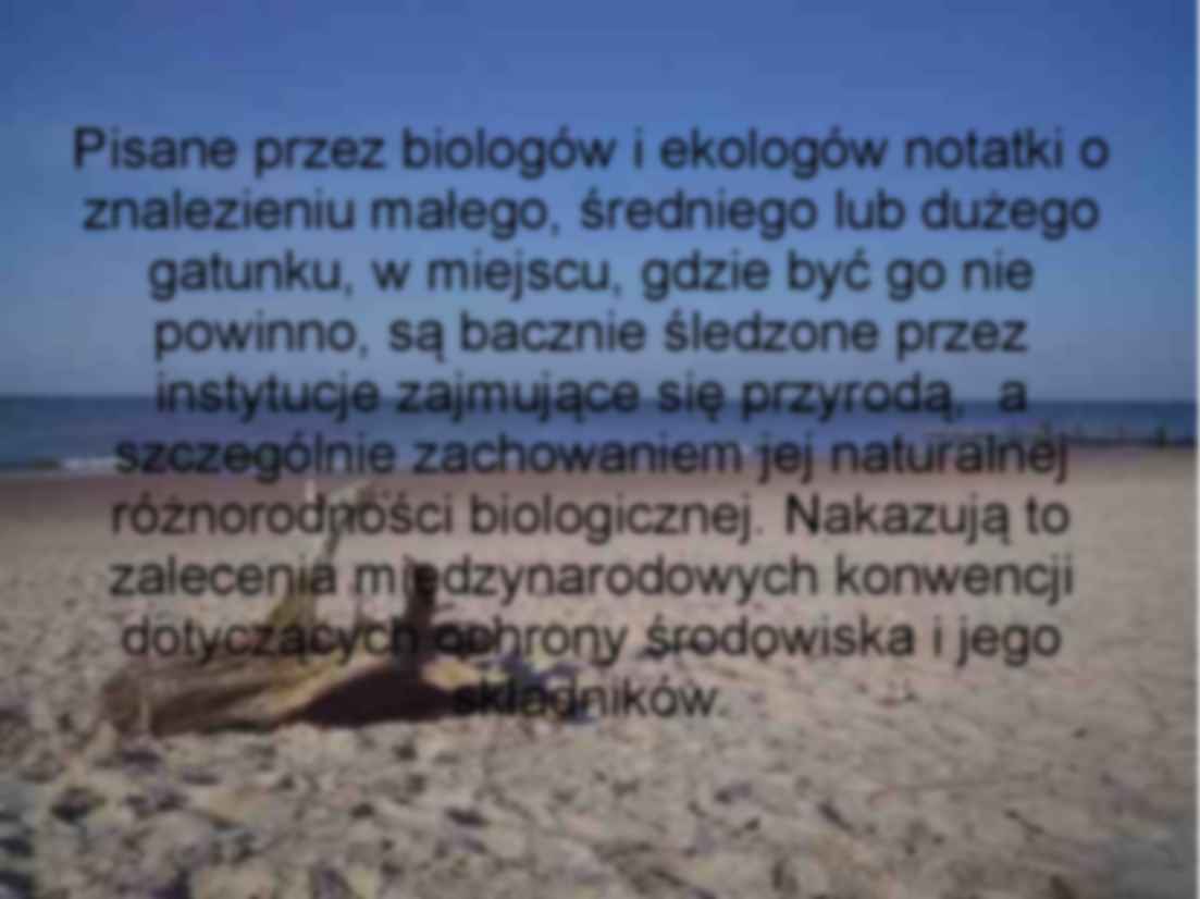 Gatunki inwazyjne - prezentacja - strona 3