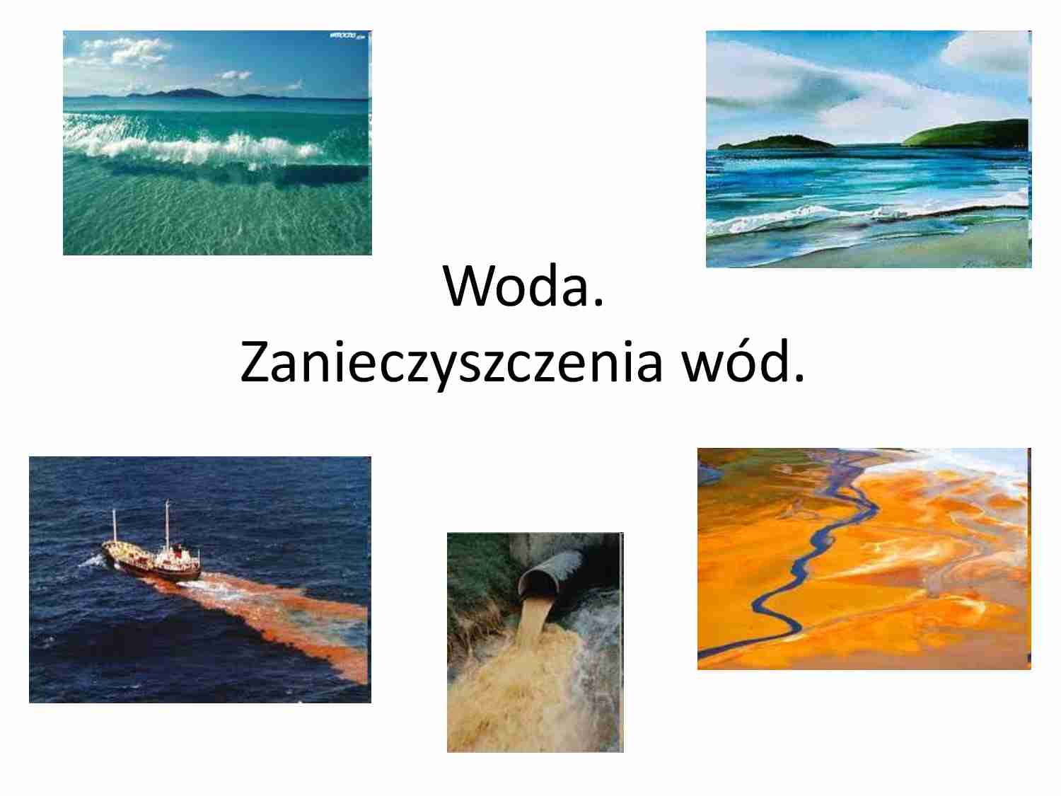 Zanieczyszczenia wód - wykład - strona 1