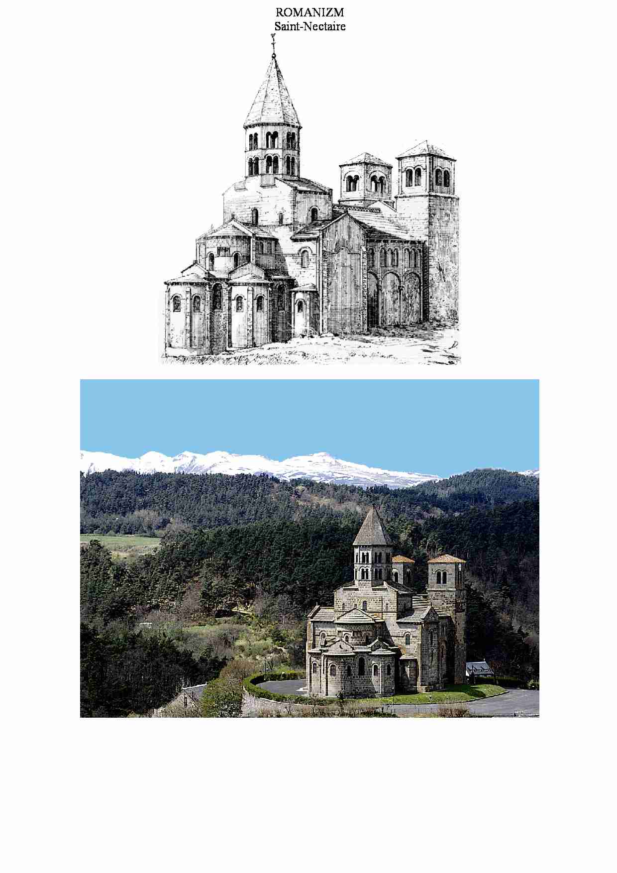 Saint-Nectaire - wykład - strona 1