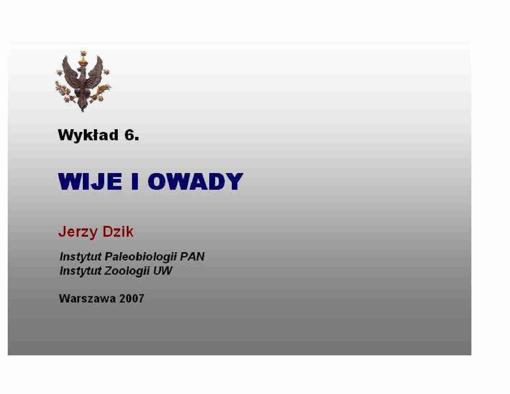 wije i owady - omówienie - strona 1