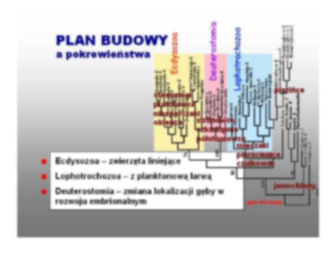 Zwierzęta liniejace - omówienie - strona 2