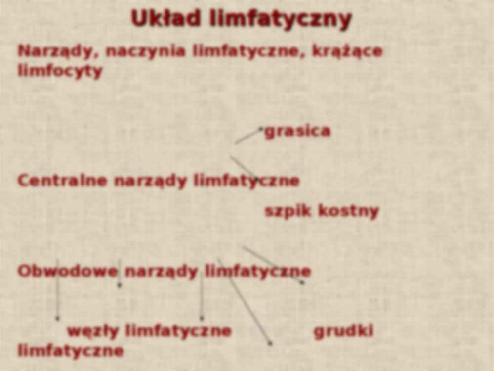 Budowa układu odpornościowego - omówienie - strona 2