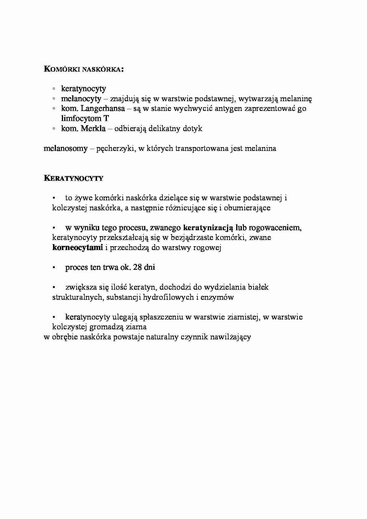 Komórki naskórka - opracowanie - strona 1