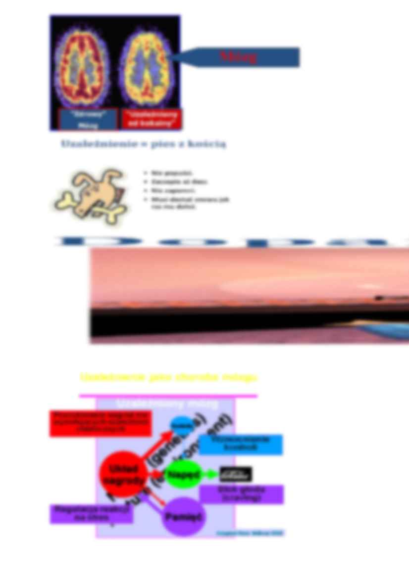 Psychologia kliniczna-opracowanie - strona 3