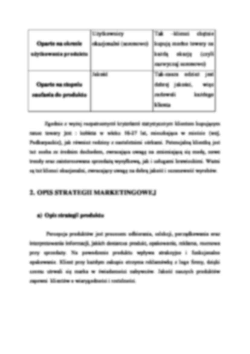 Plan marketingowy - wykład - strona 3