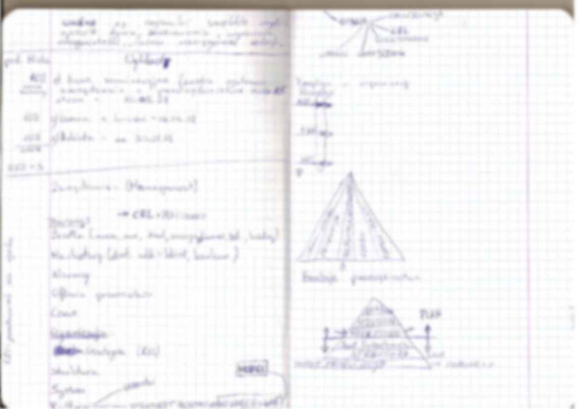 Podstawy zarządzania - omówienie -  kierunki - strona 2