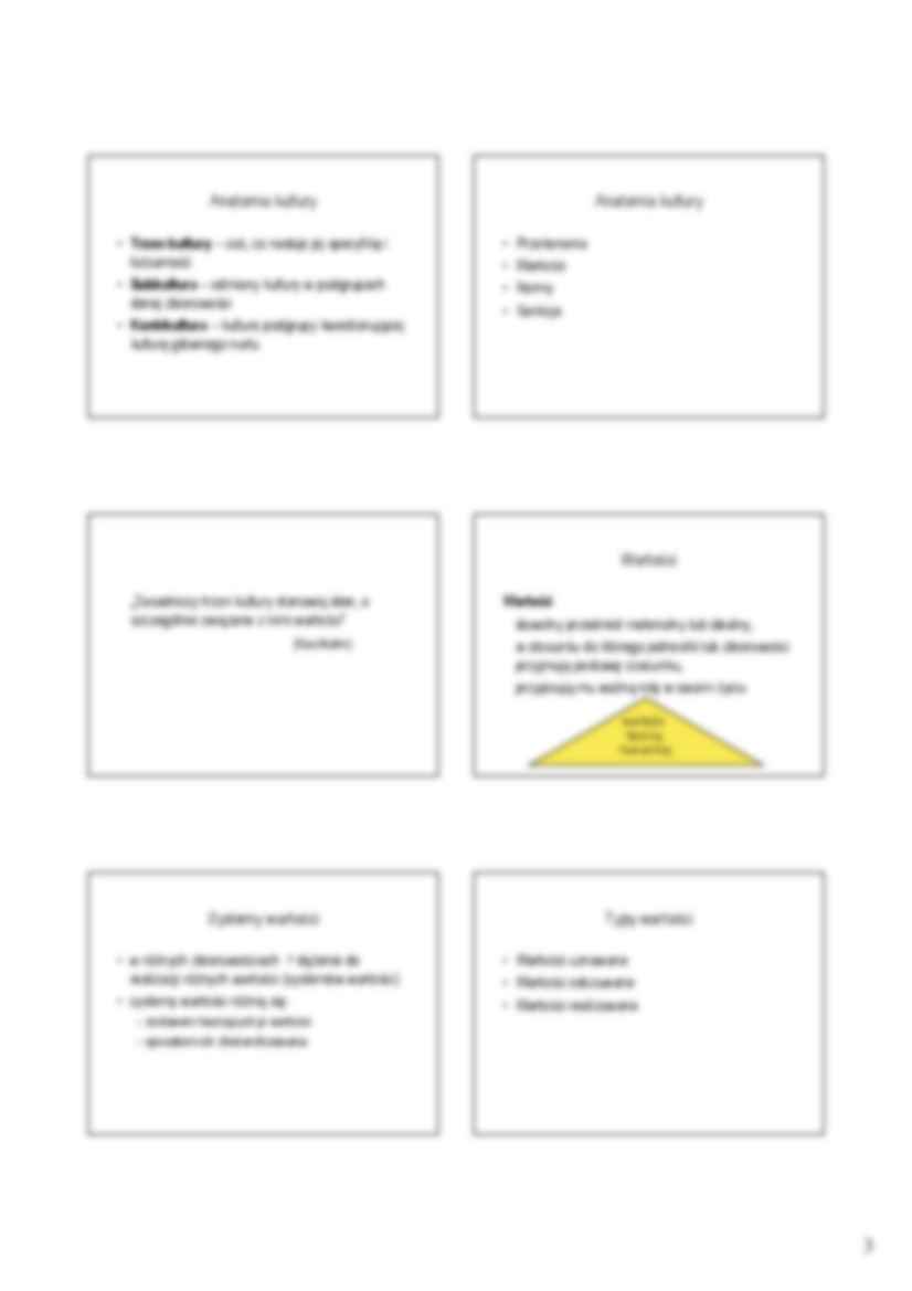 Socjologiczne ujęcie kultury - omówienie (sem 1) - strona 3