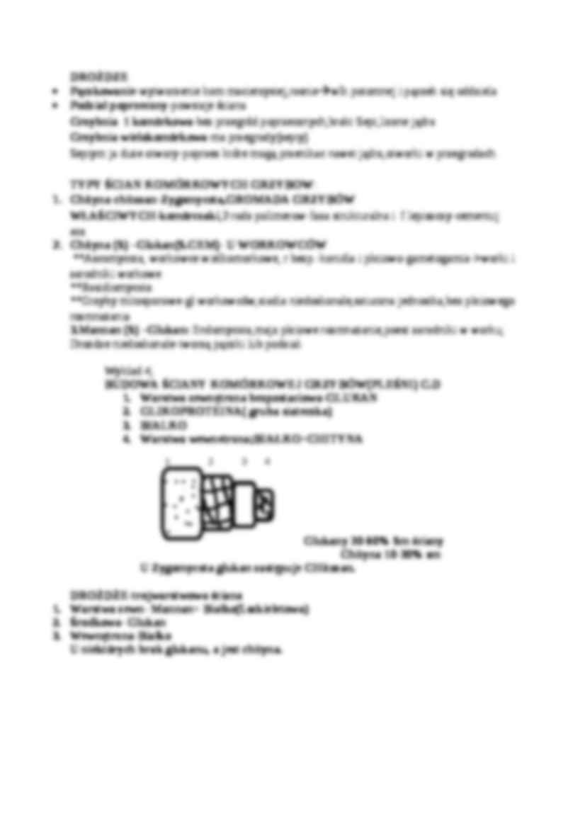 Wykład - grzyby, sem III - strona 2