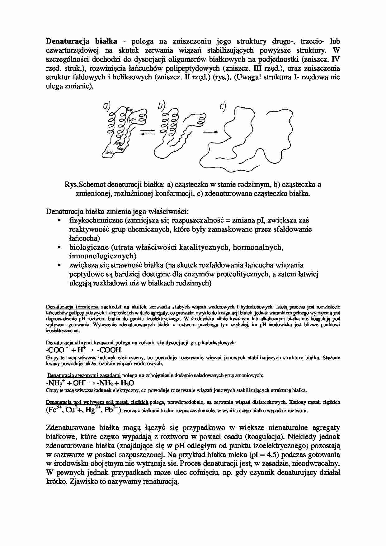 Denaturacja - wykład, sem III - strona 1