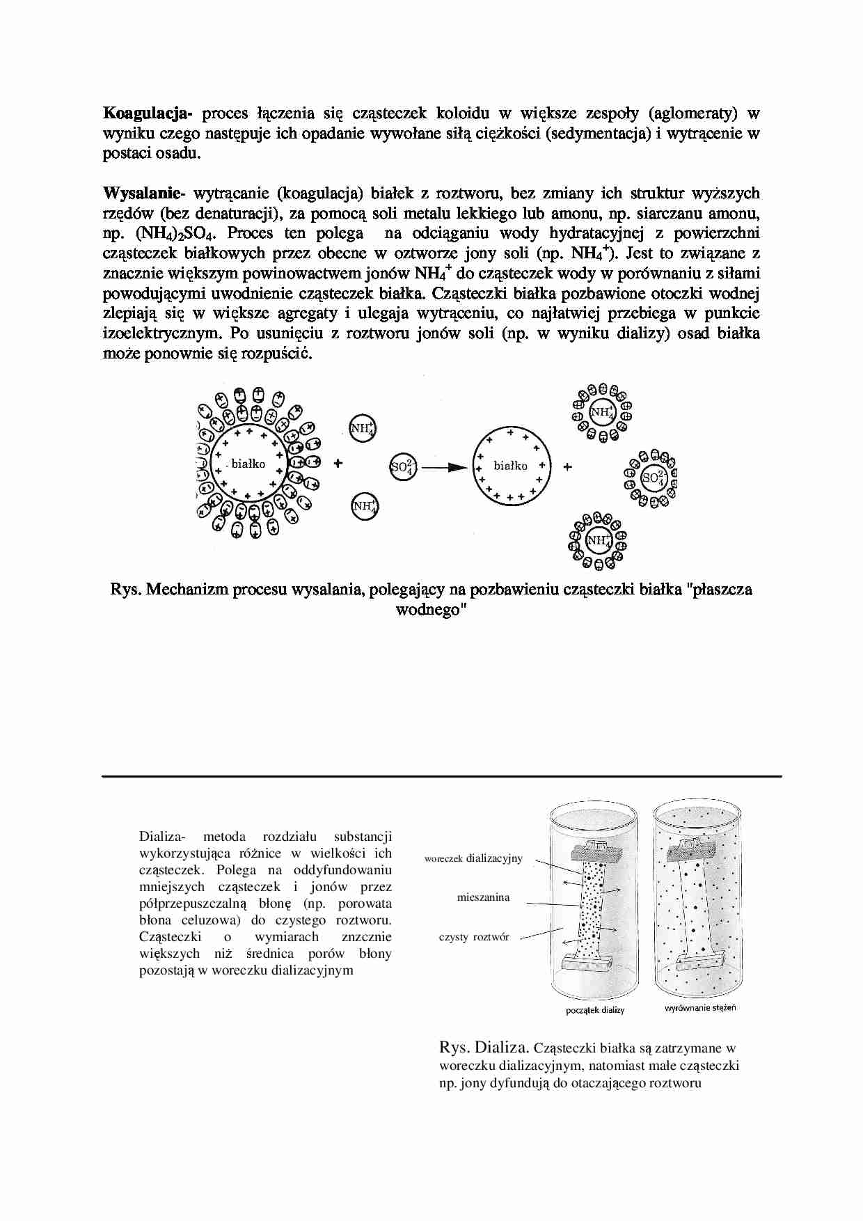 Koagulacja i wysalanie - wykład , sem III - strona 1
