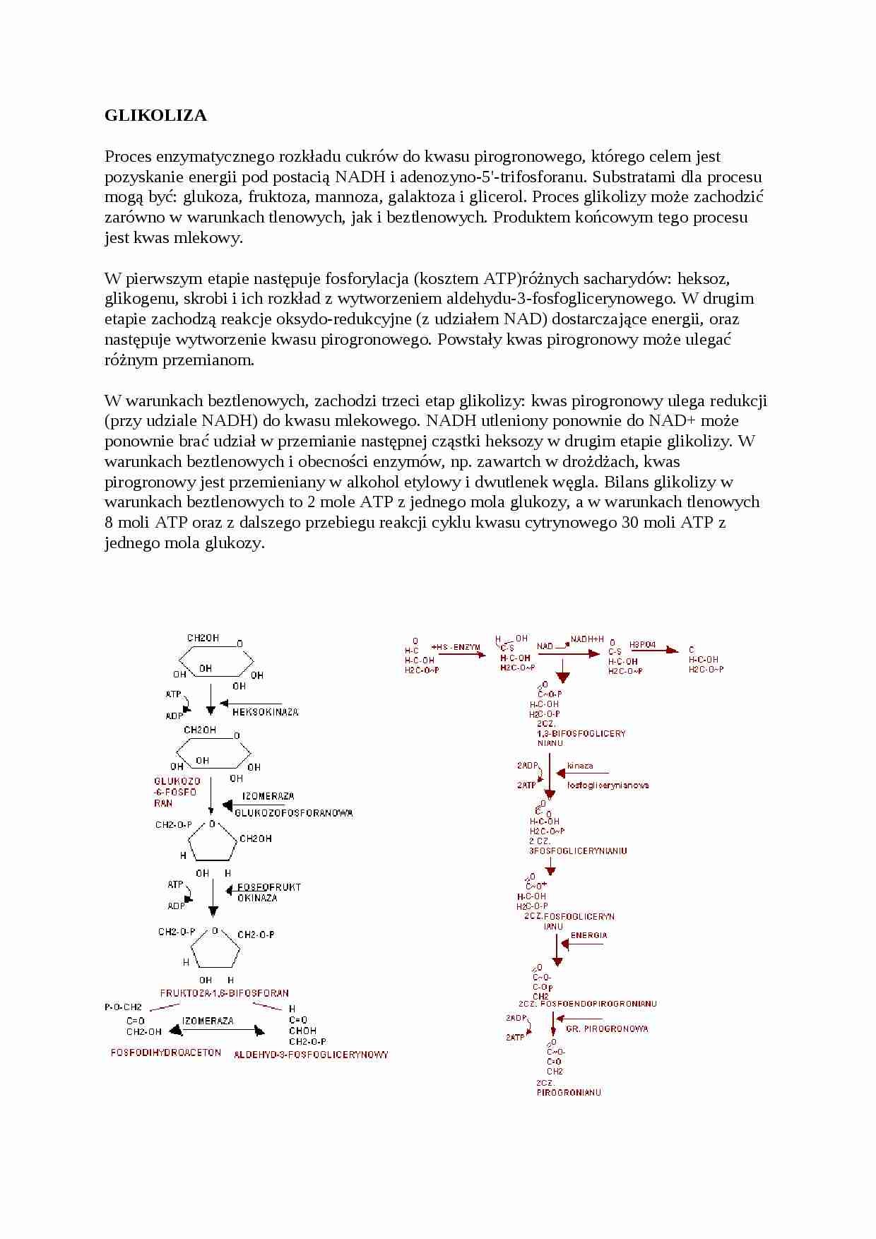 wykład - glikoliza, sem III - strona 1