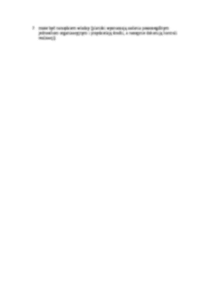 Wykład - modele i plan planowania finansowego, sem IV - strona 3