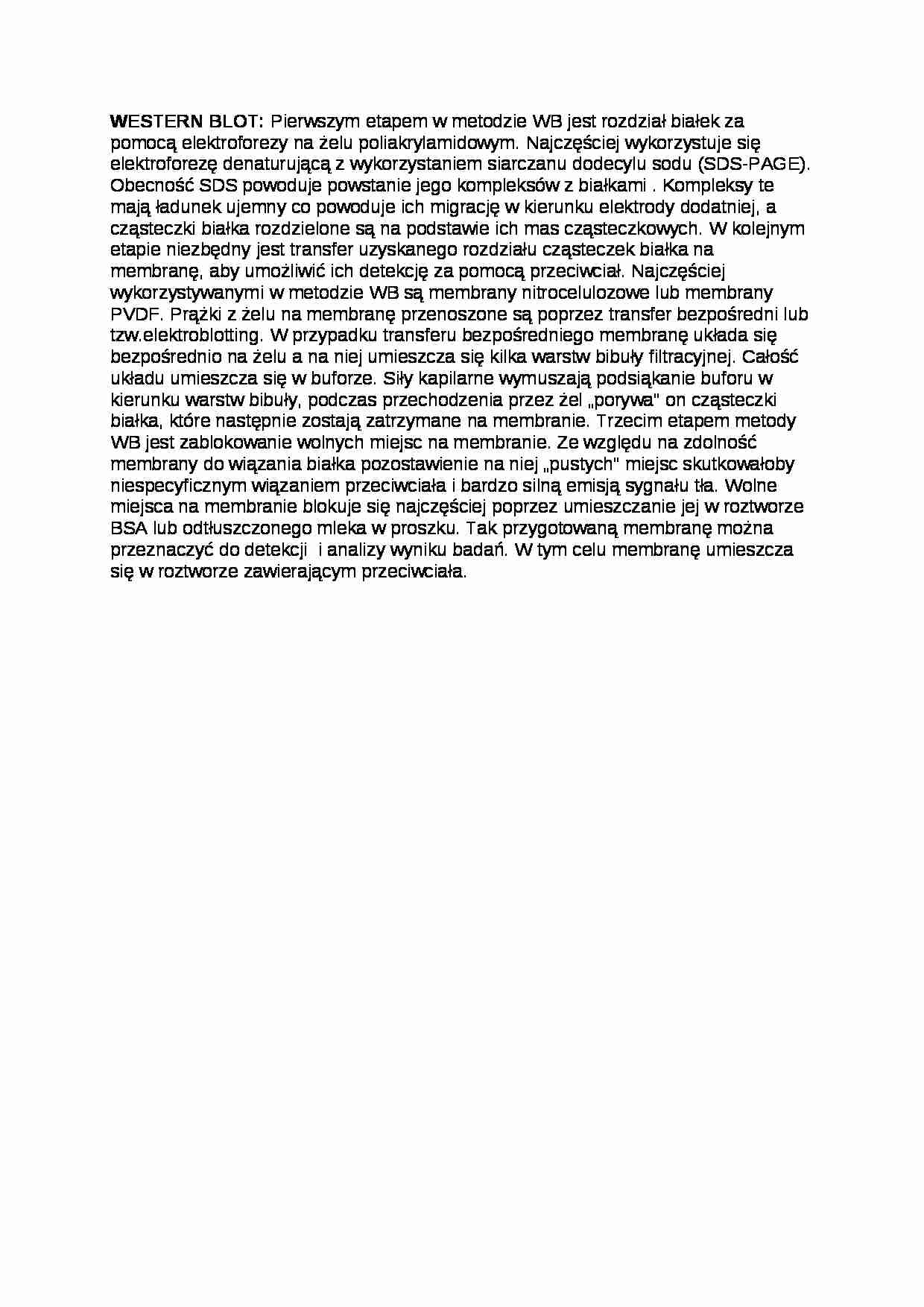 Western blot, sem VI - strona 1