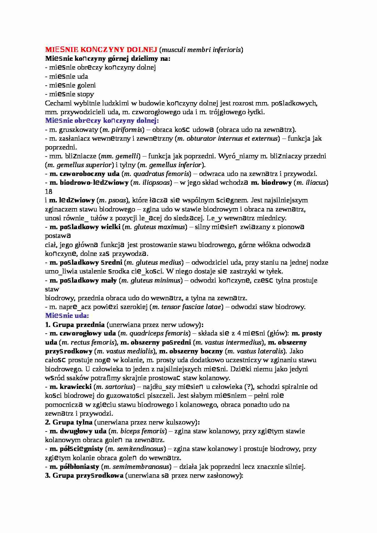 Mięśnie kończyny dolnej - omówienie, sem IV - strona 1