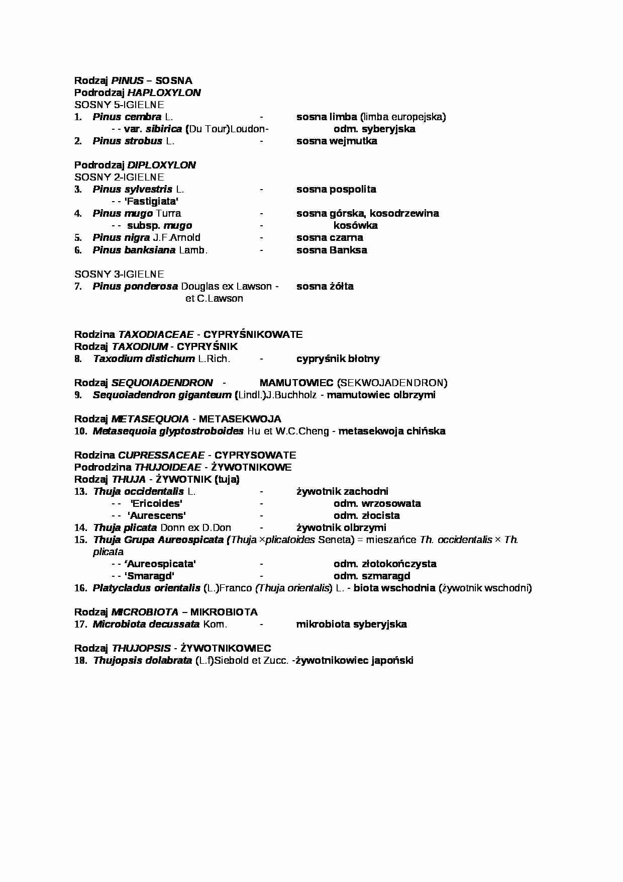 Rodzaj pinus - wykład - strona 1