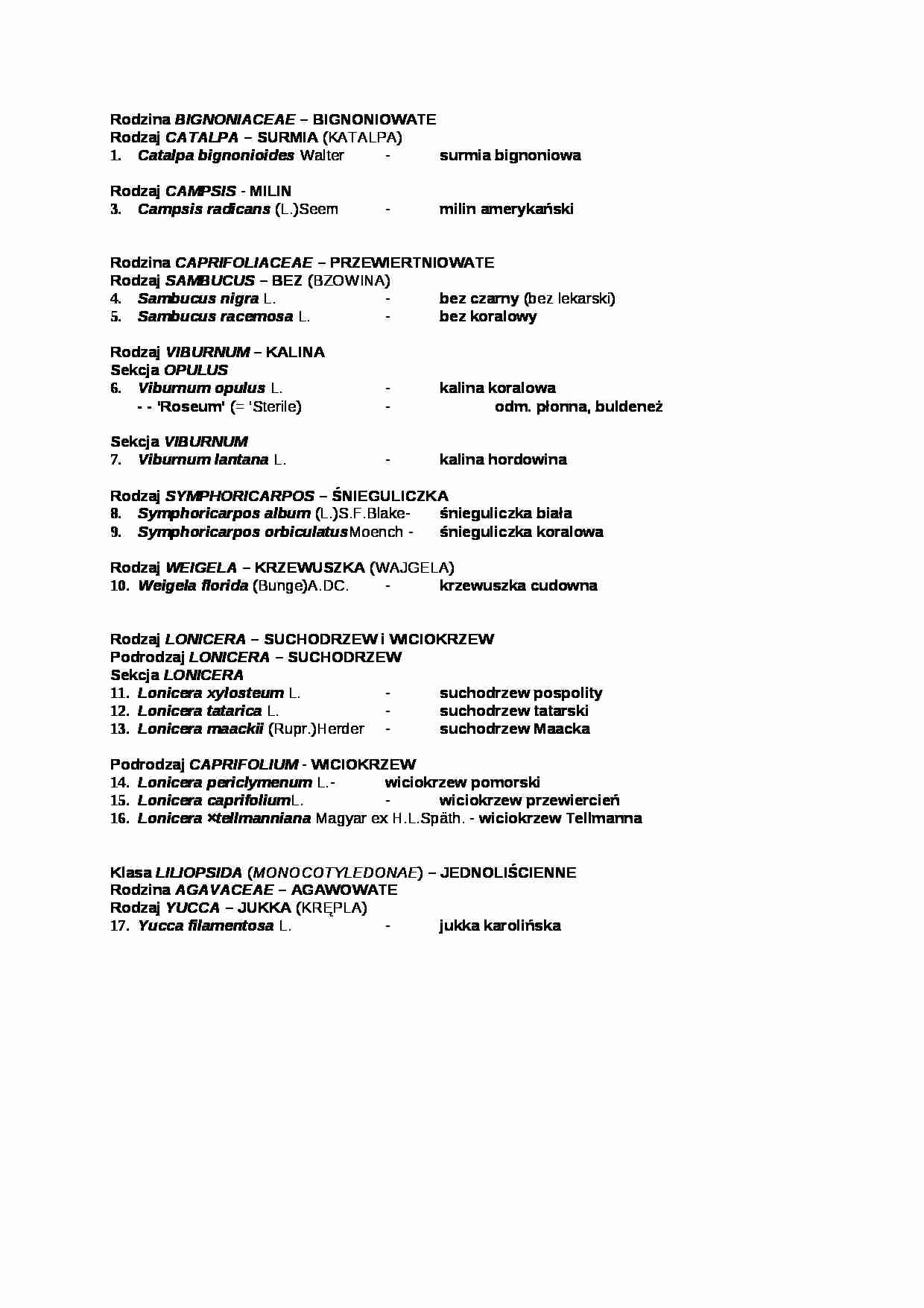 Rodzina bignoniaceae - strona 1