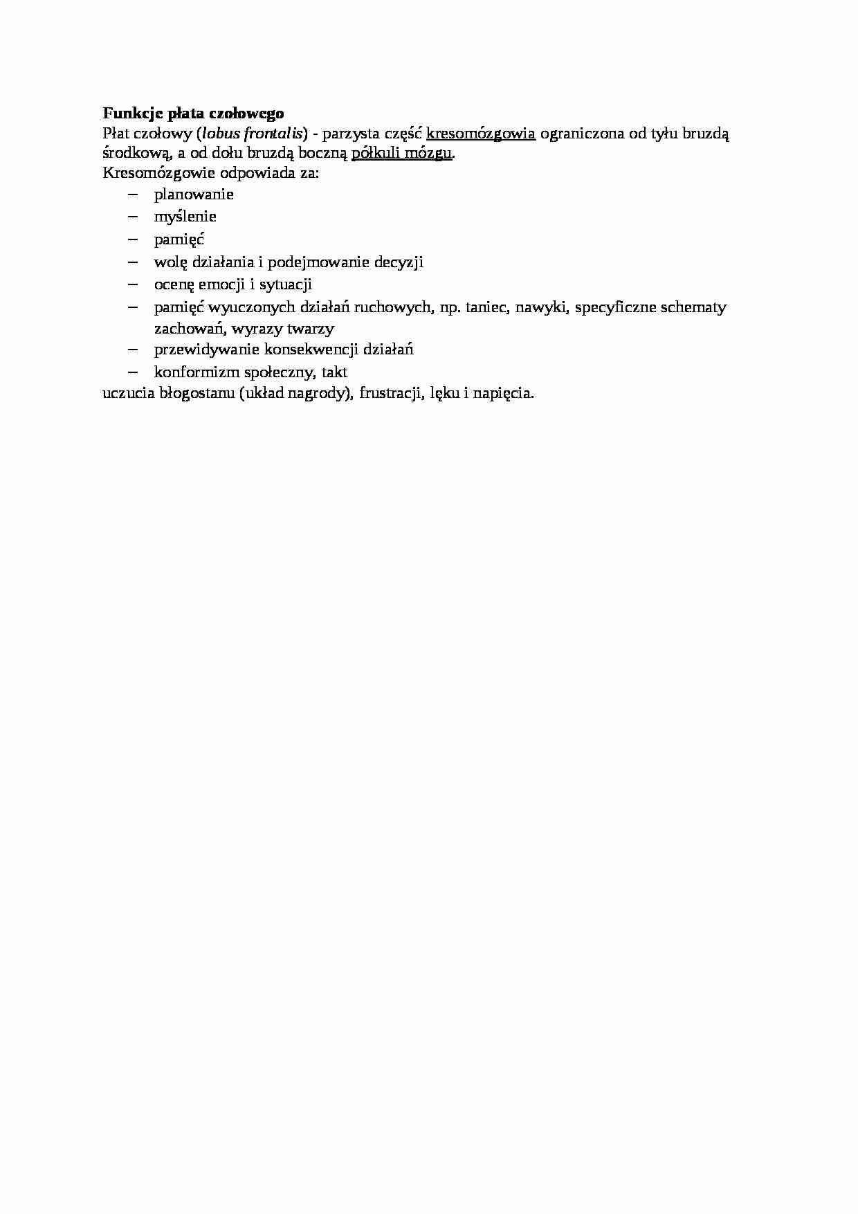 Funkcje płata czołowego - omówienie - strona 1