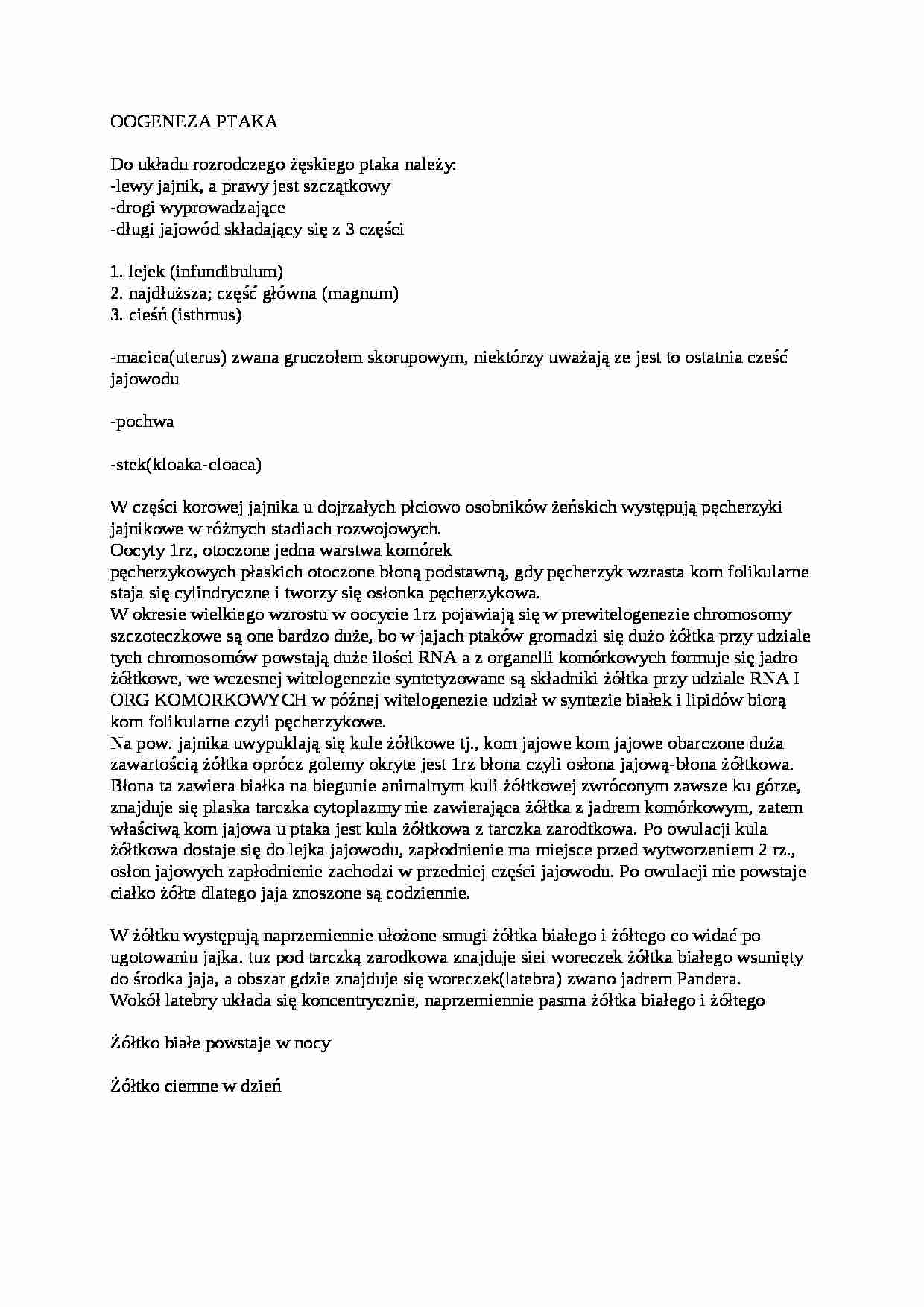 Wykład - oogeneza ptaków - strona 1