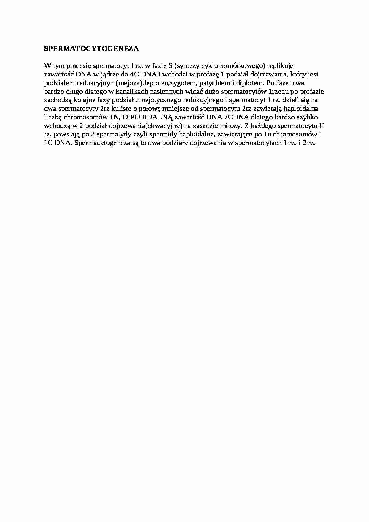 Opracowanie - spermatocytogeneza - strona 1