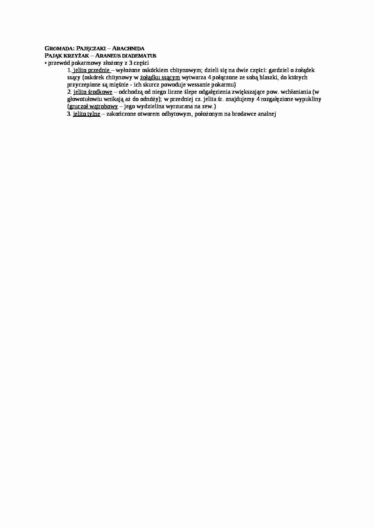 Opracowanie - gromada pajęczaki arachnida - strona 1