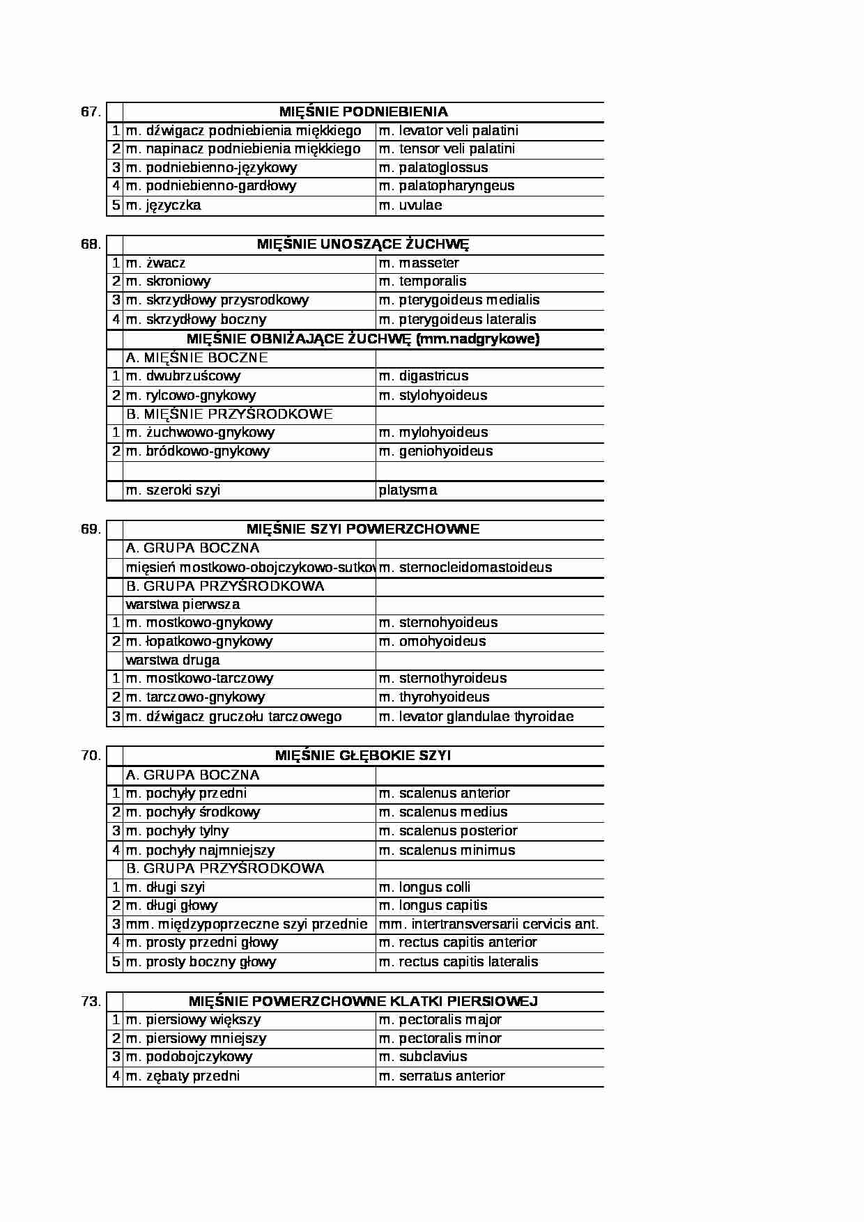 ANATOMIA -MIĘSNIE-PODZIAŁ - strona 1