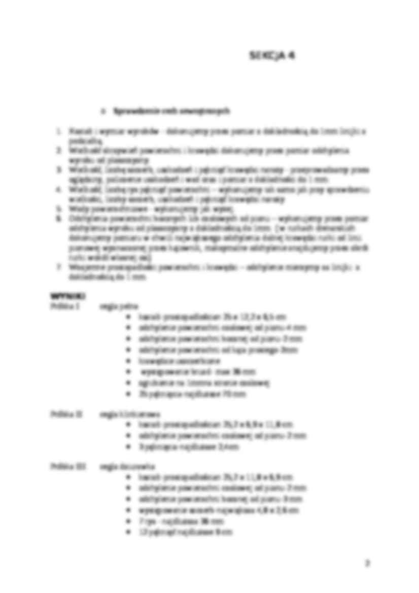 sprawozdanie z ceramiki - strona 2