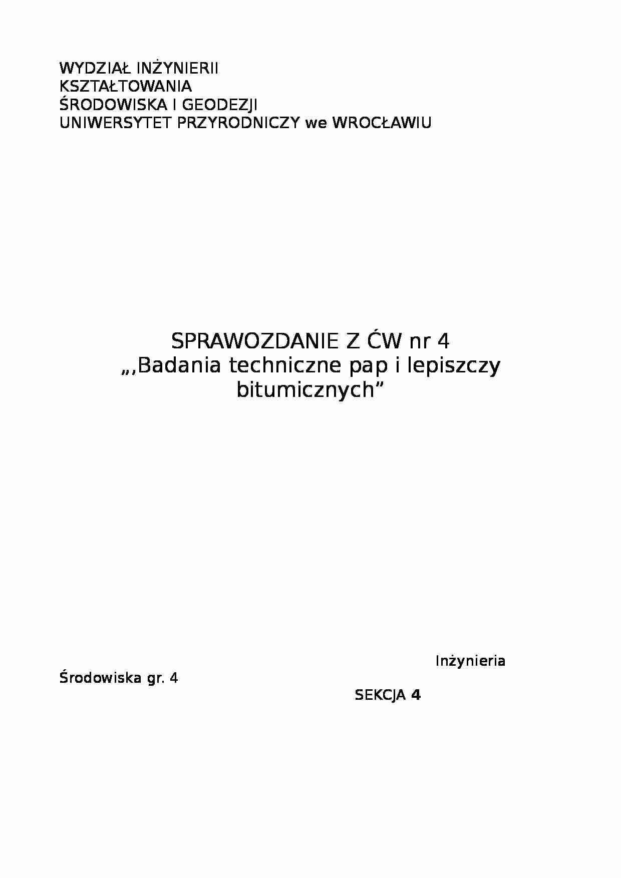 sprawozdanie z pap i lepiszczy bitumicznych - strona 1