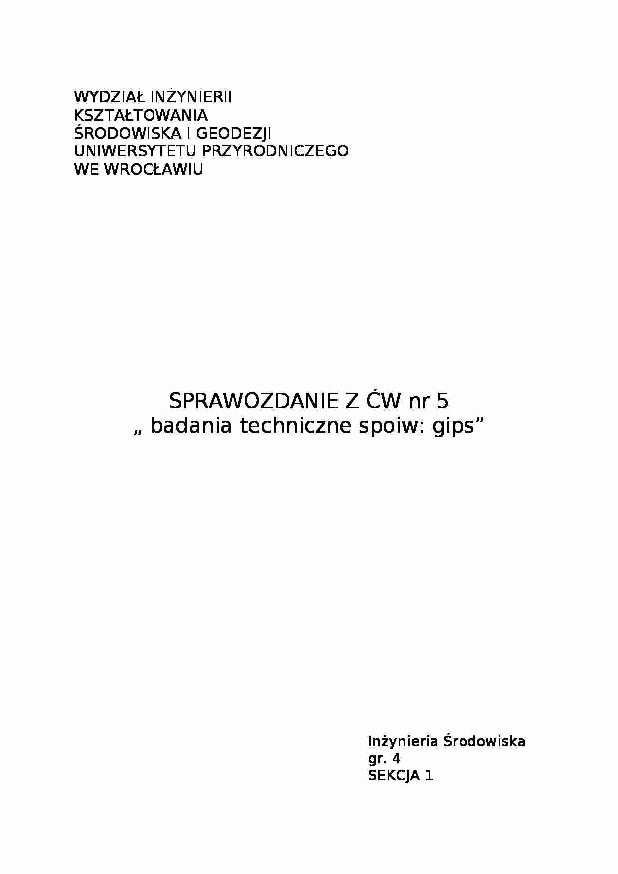 sprawozdanie ze spoiw gips  - strona 1