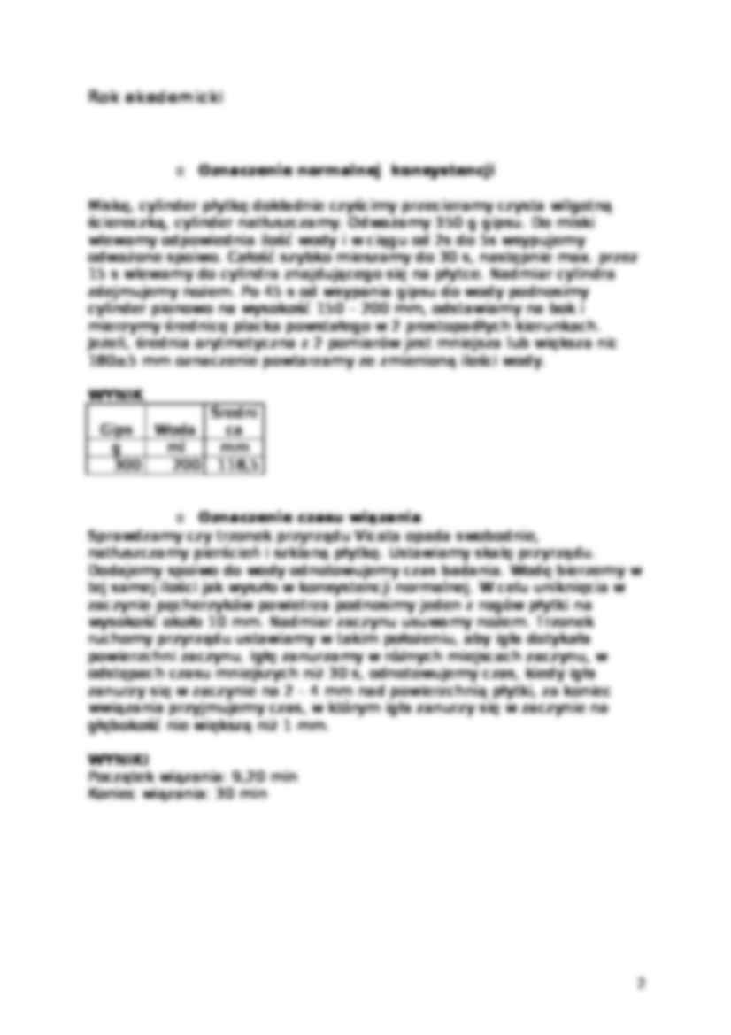 sprawozdanie ze spoiw gips  - strona 2