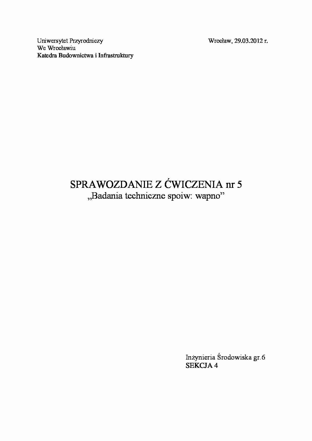 sprawozdanie z wapna - strona 1