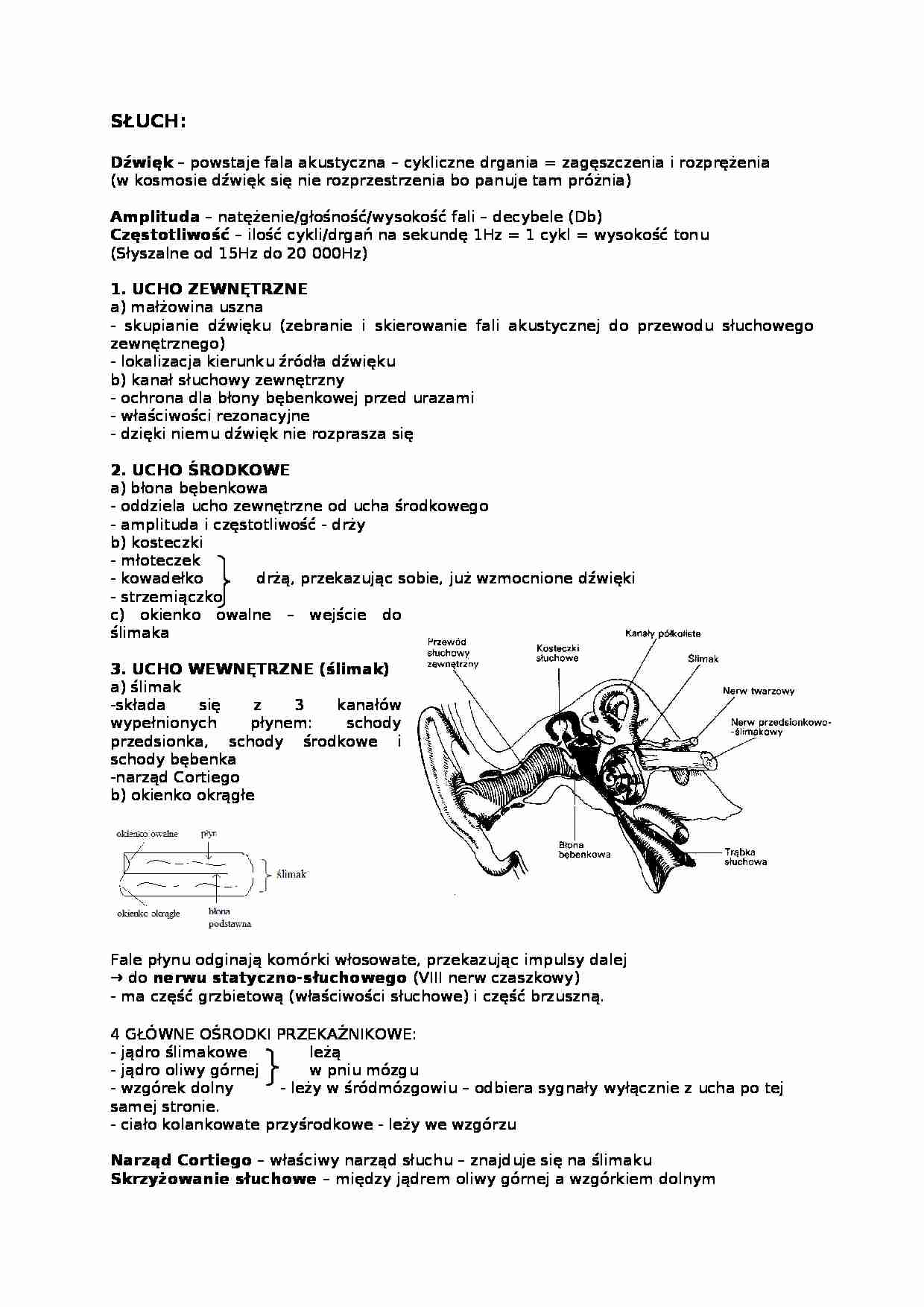 Słuch-opracowanie - strona 1