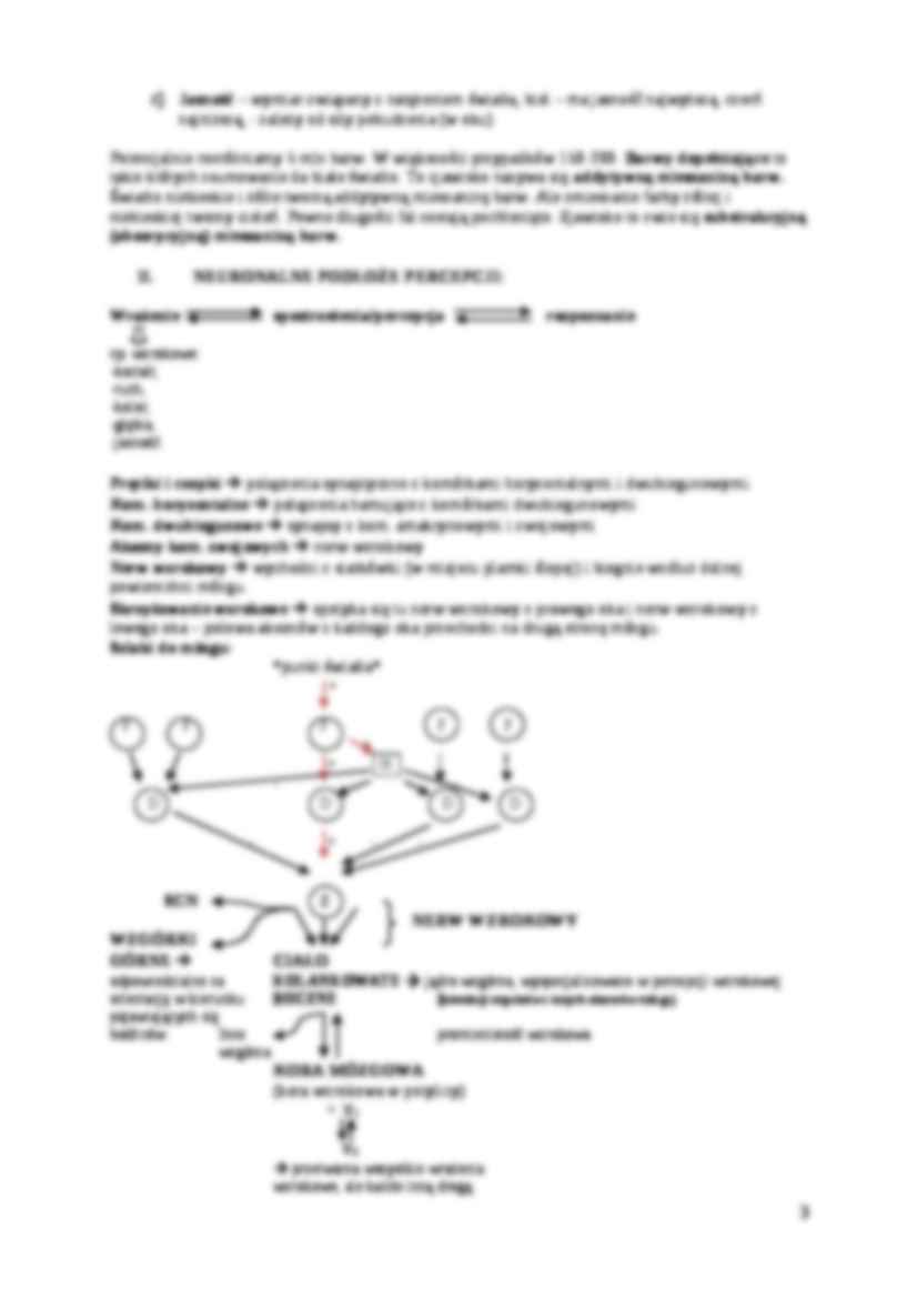 System wzrokowy-opracowanie - strona 3