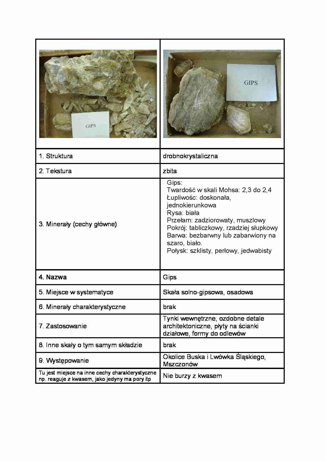 Gips - strona 1