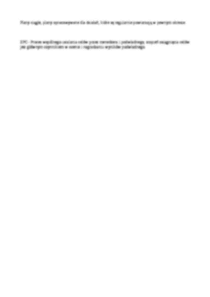 Zarządzanie firmą - Plany - strona 2