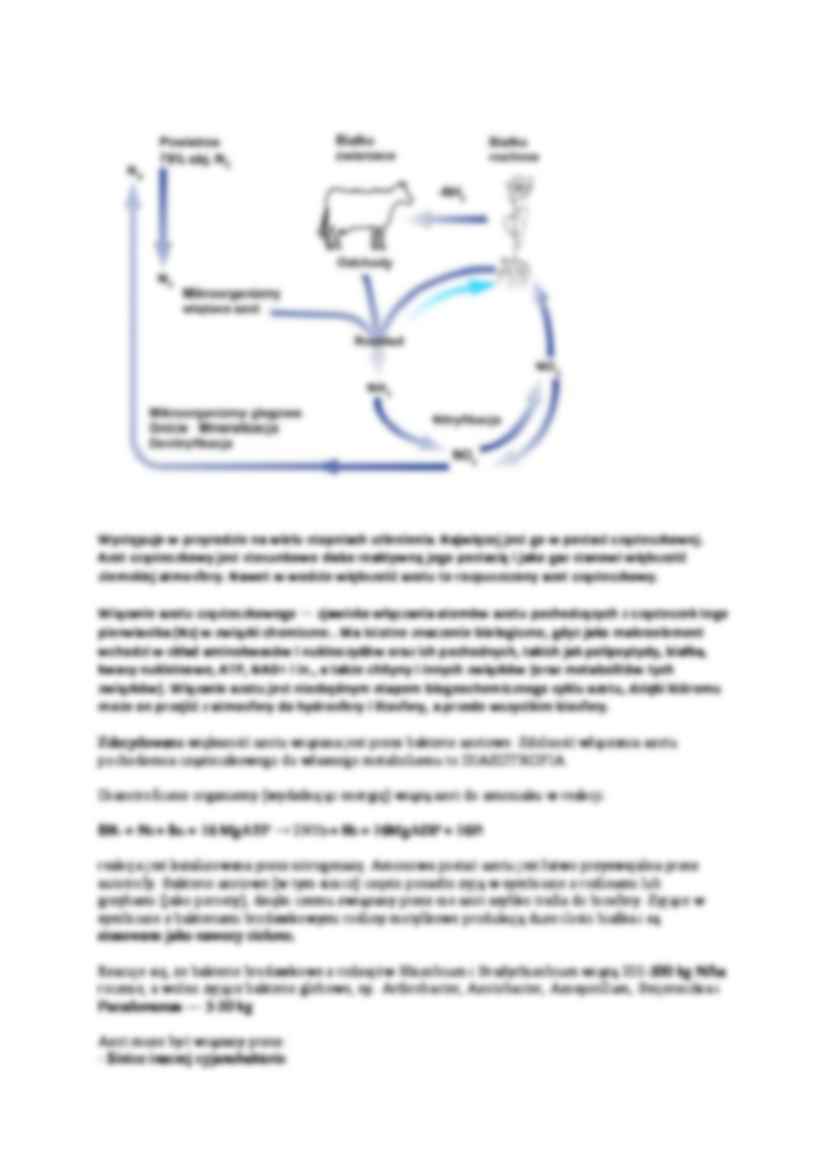 Obieg węgla i azotu- opracowanie - strona 2