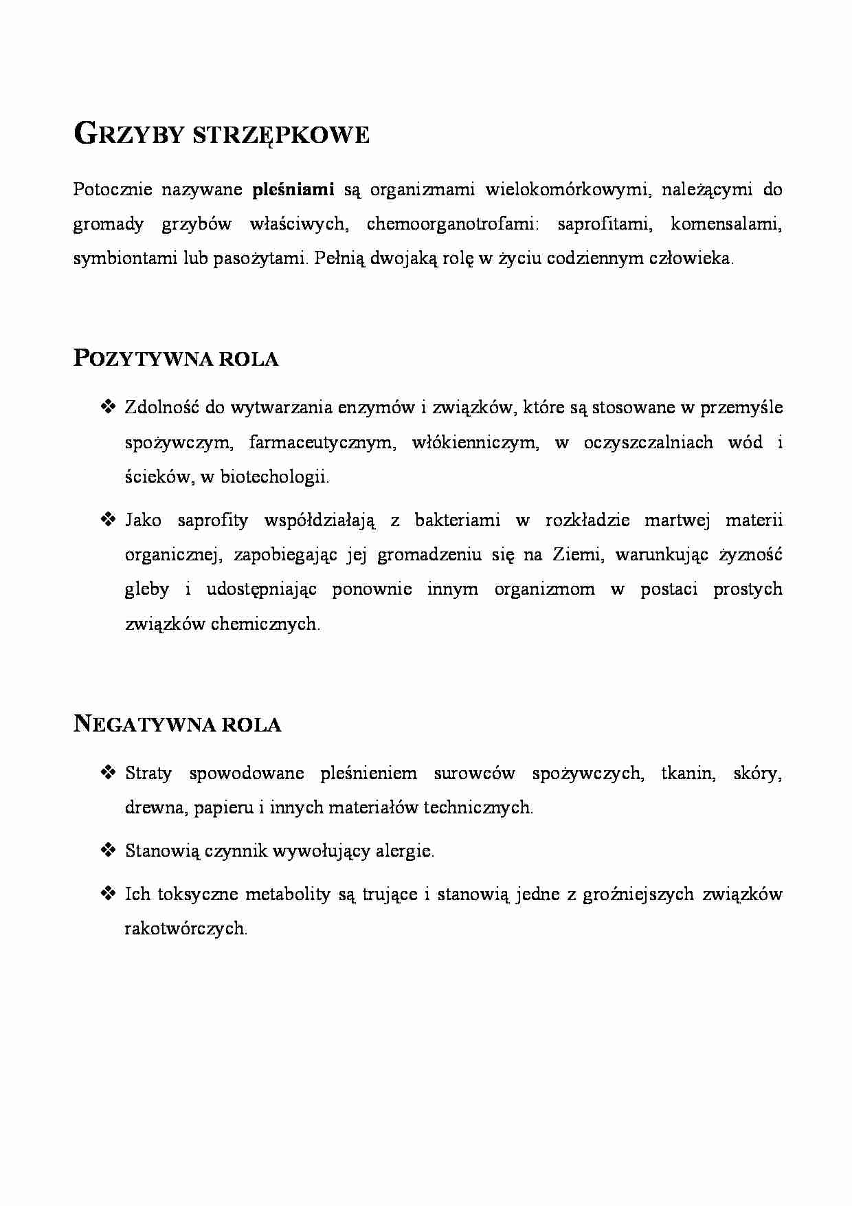 Grzyby strzępkowe- opracowanie - strona 1