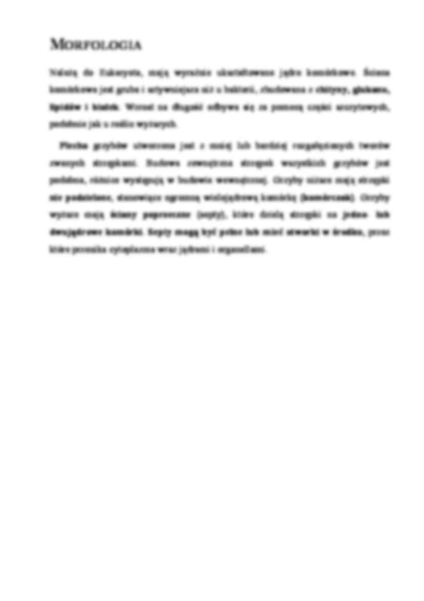 Grzyby strzępkowe- opracowanie - strona 3