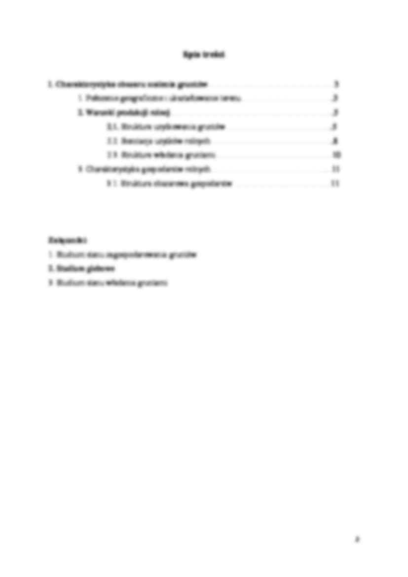Projekt scalenia gruntów wsi Kończyce- opracowanie - strona 2