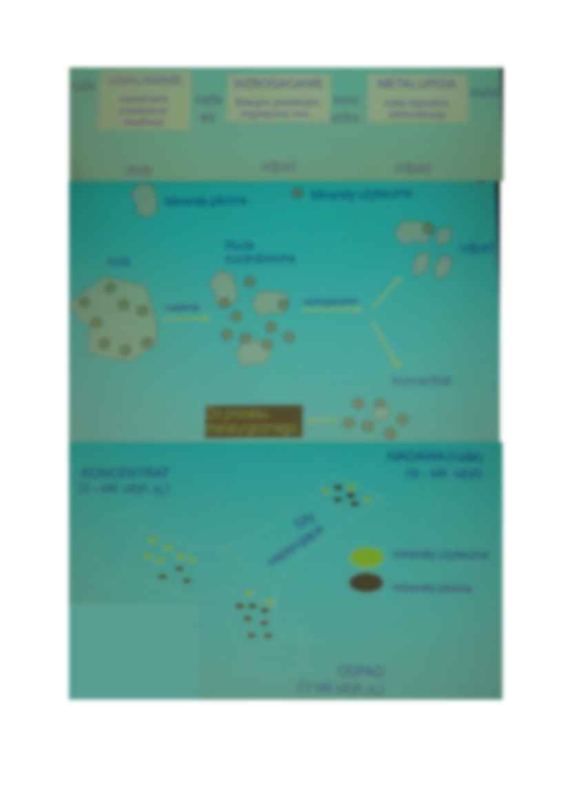 Metalurgia-opracowanie - strona 3