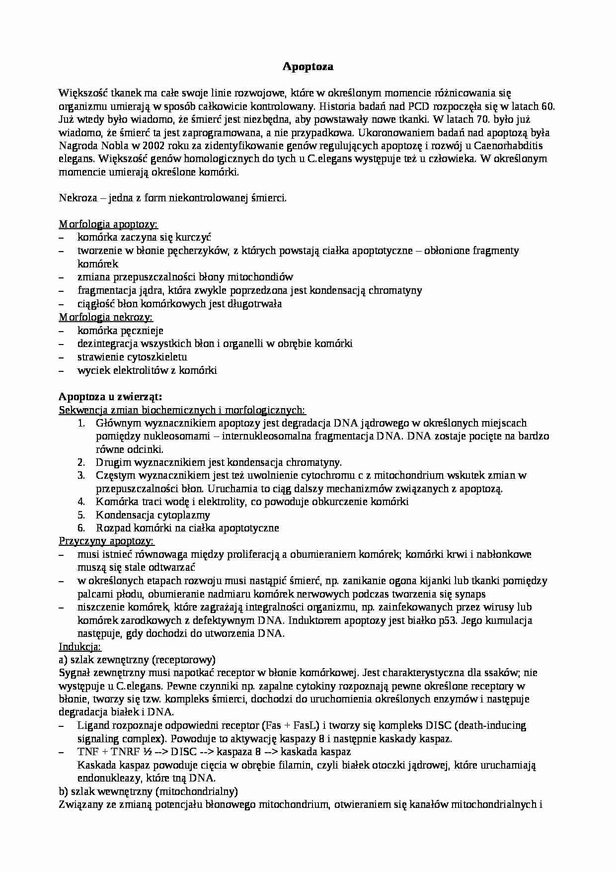 Apoptoza-opracowanie - strona 1