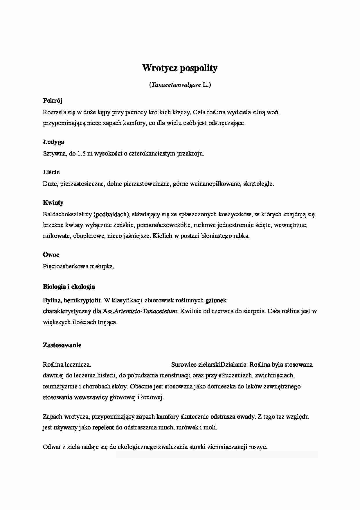 Wrotycz pospolity - wykład - strona 1