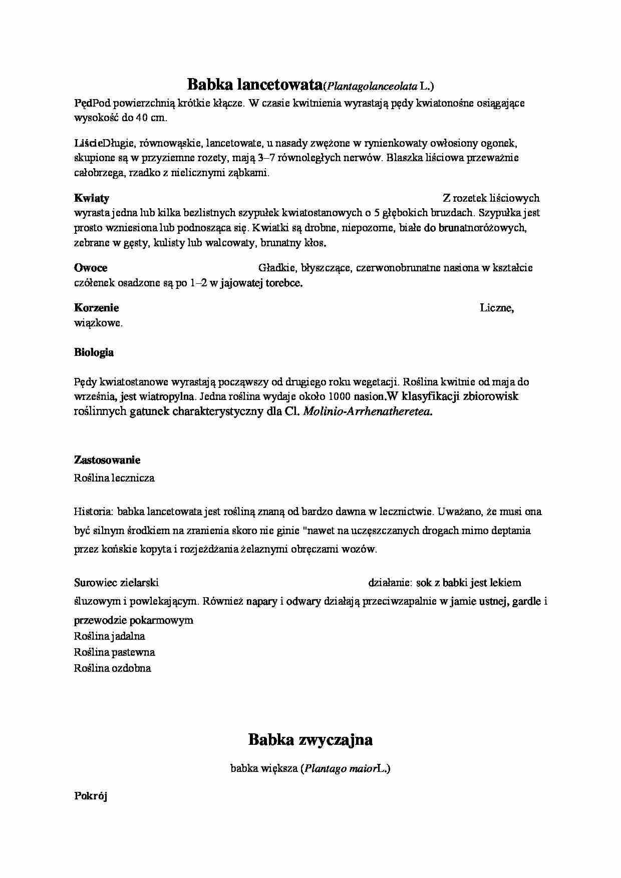 Babka zwyczajna i babka lancetowata - zielnik - strona 1