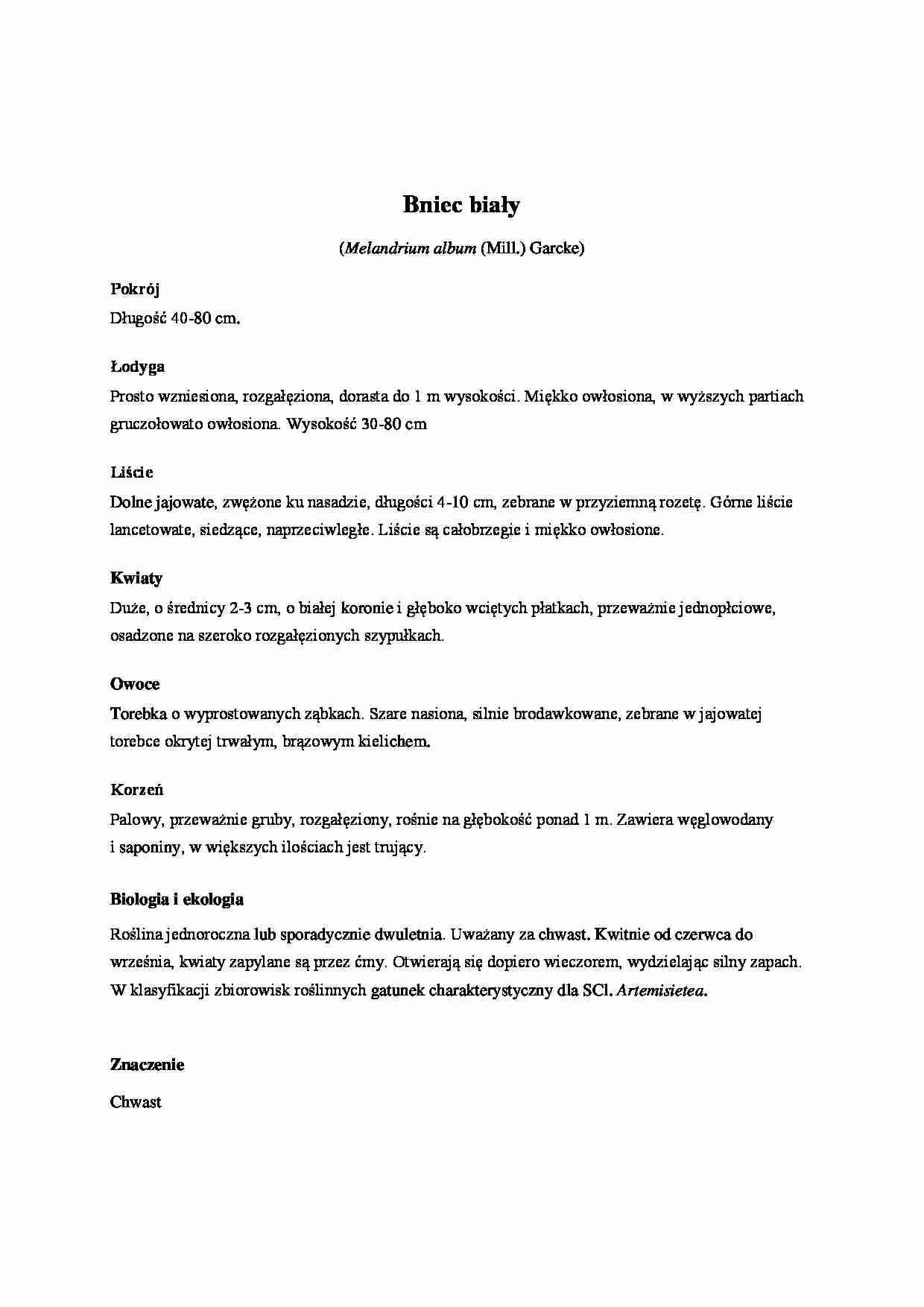Bniec biały - zielnik - strona 1