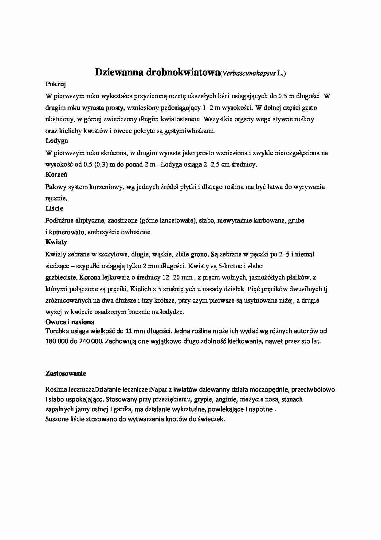 Dziewanna drobnokwiatowa - zielnik - strona 1