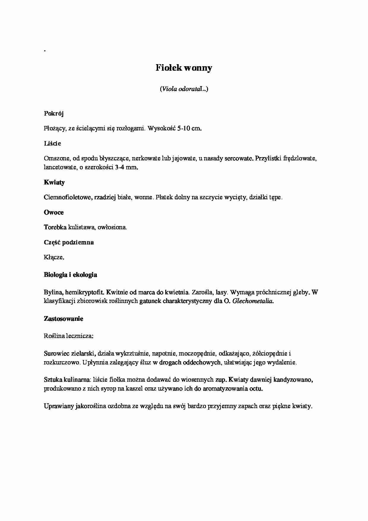 zielnik -Fiołek wonny - strona 1