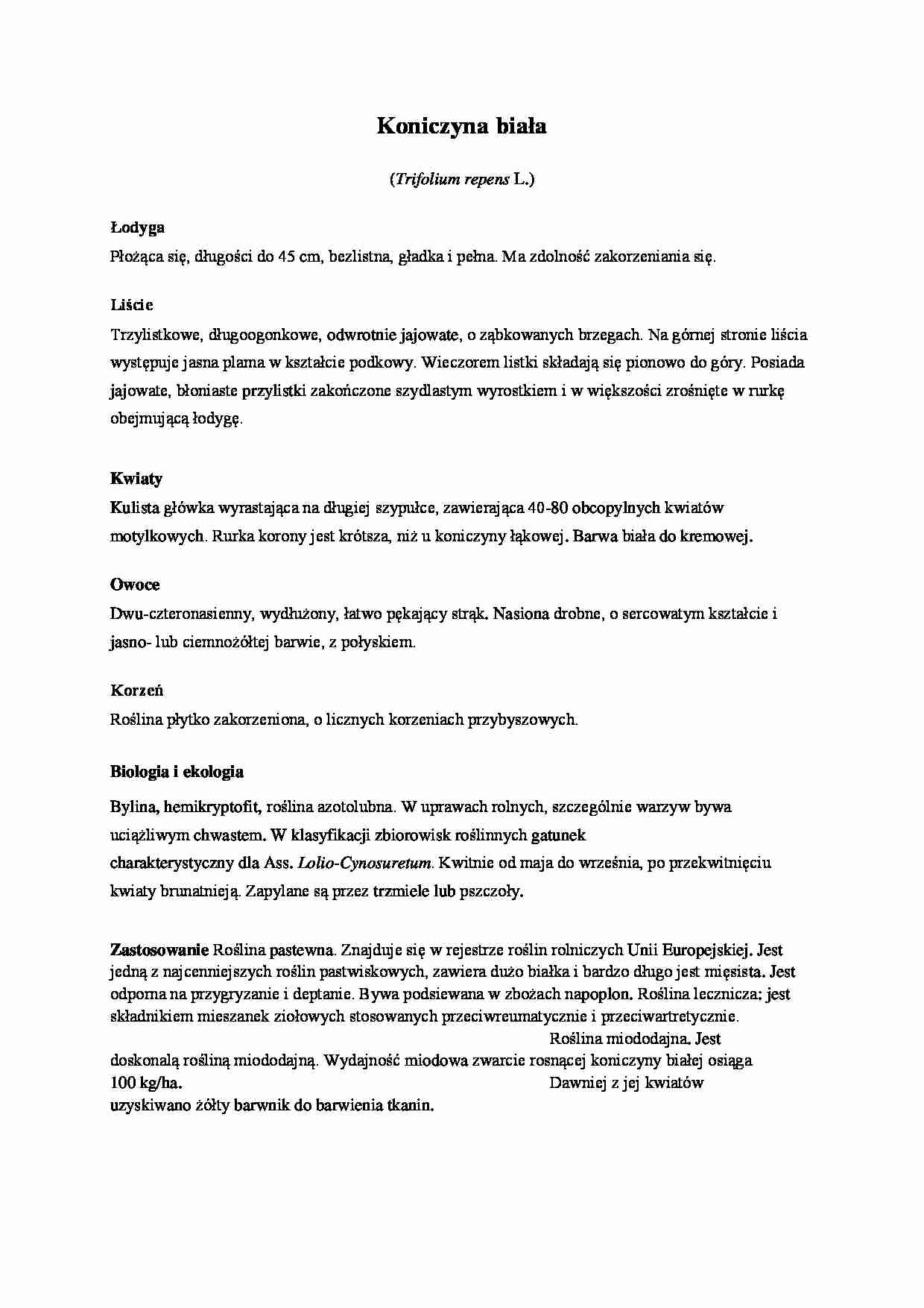 zielnik -Koniczyna biała - omówienie  - strona 1