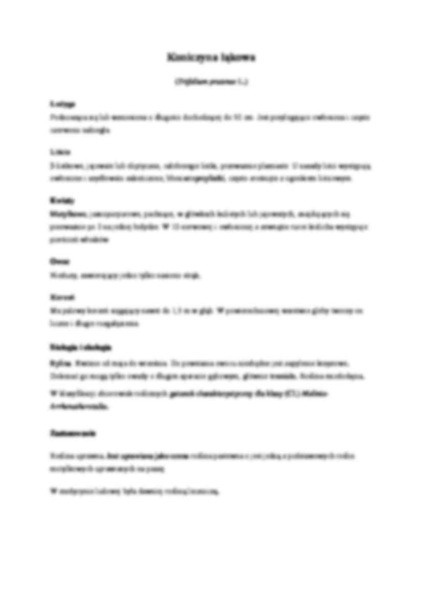 zielnik -Koniczyna biała - omówienie  - strona 2